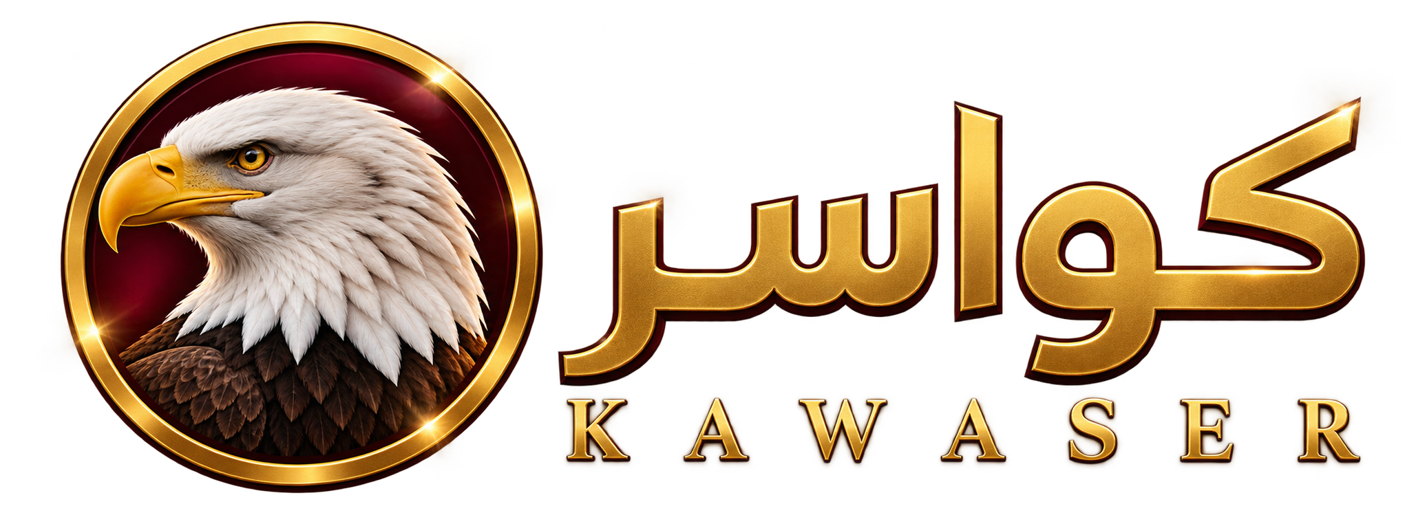 تعرّف على أصدقاء جدد في كواسر